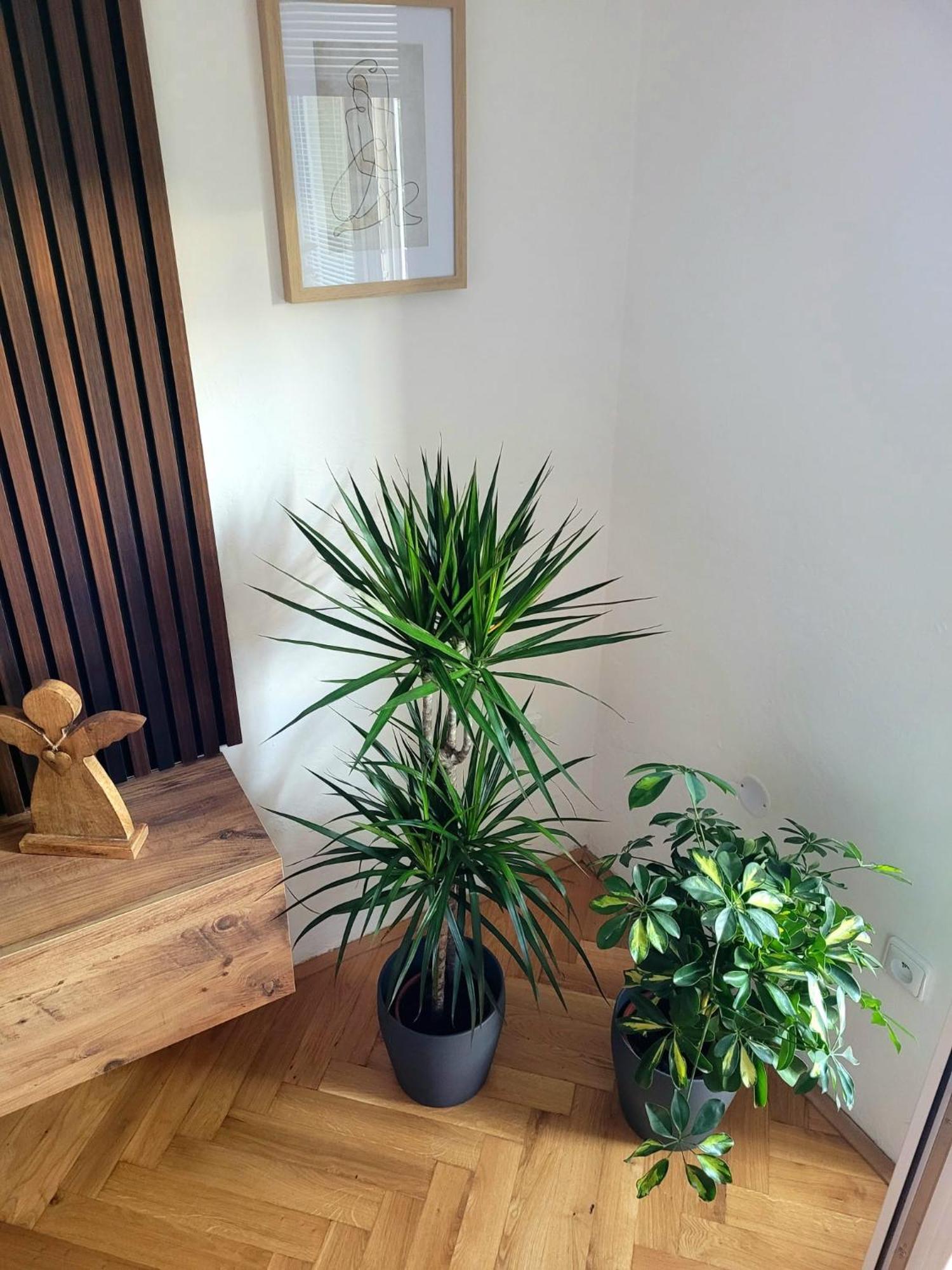 Novy Apartman Eva ยีชิน ภายนอก รูปภาพ