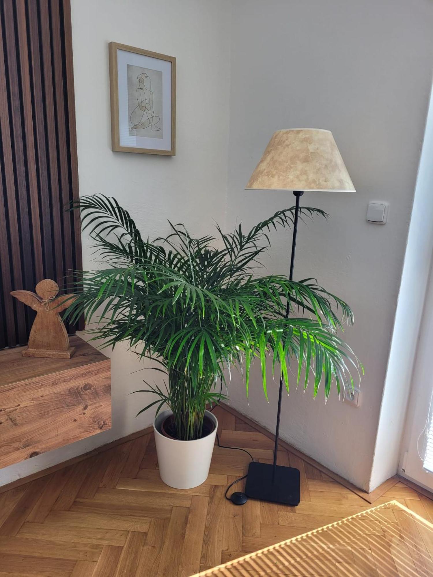 Novy Apartman Eva ยีชิน ภายนอก รูปภาพ